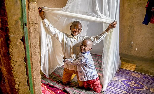 mosquito net
