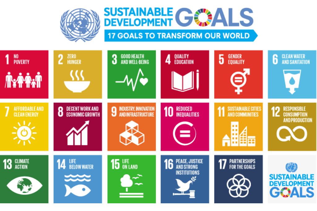 Image courtesy of the United Nations